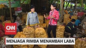 VIDEO: Menjaga Rimba Menambah Laba (5/5)
