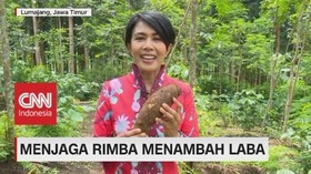 VIDEO: Menjaga Rimba Menambah Laba (3/5)