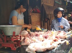 Cek Harga Pangan di Denpasar Sore Ini, Daging Ayam Rp 35 Ribu Per Kilo