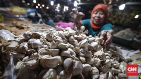 Bawang Putih Masih Mahal, Menteri Amran Ancam Importir Nakal