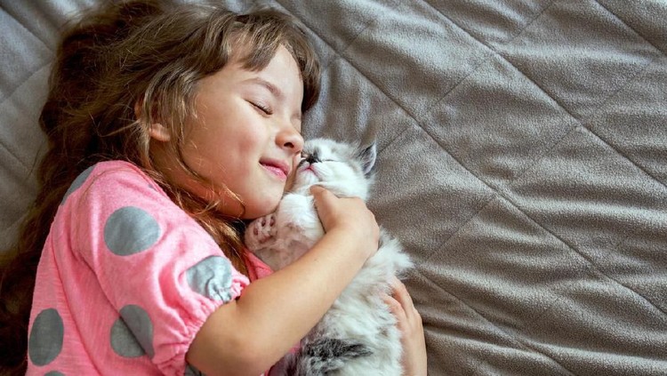 Tips Atasi Alergi Bulu Meski Punya Hewan Peliharaan Hobi punya hewan peliharaan seperti kucing atau anjing tapi punya alergi bulu binatang. Dilema deh.