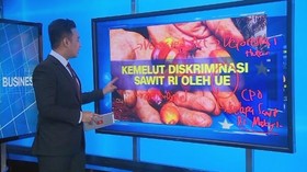 VIDEO: Kemelut Diskriminasi Sawit RI oleh Uni Eropa