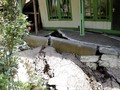 Tanggap Darurat Pergeseran Tanah Gunungbatu Sukabumi Dicabut