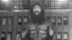 Misteri Keberadaan Yeti, Makhluk Misterius Penghuni Himalaya