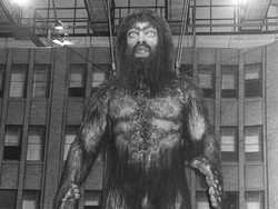 Misteri Keberadaan Yeti, Makhluk Misterius Penghuni Himalaya