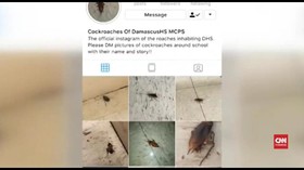 VIDEO: Kecoa Maryland Punya Akun Instagram Pribadi