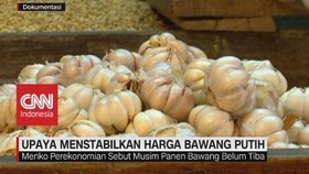 VIDEO: Upaya Pemerintah Menstabilkan Harga Bawang Putih