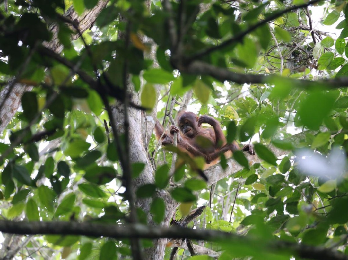 Denny Sumargo dan Vincent Verhaag menikmati liburan serunya di MTMA Survival Kutai yang tayang pada Minggu &lpar;5&sol;5&rpar; pukul 08&period;30 WIB hanya di Trans TV&period;