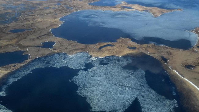 Gelombang panas membuat Alaska mencapai rekor suhu tertinggi 32 derajat Celcius sepanjang masa.