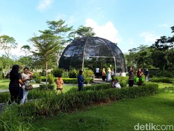 Kebun Raya Indrokilo Boyolali Buka Lagi, tapi Sabtu-Minggu Tutup