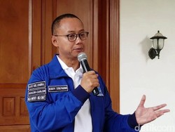 Ternyata PAN Ingin Dukung Jokowi-Maruf di 2019, tapi Dijegal Amien Rais