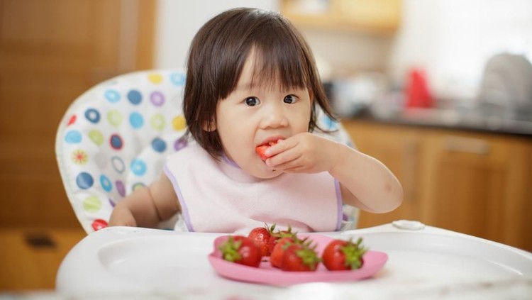 Ada beberapa buah yang diindikasikan para peneliti sebagai buah yang mengandung nutrisi terbaik untuk bayi.