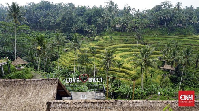 Wilayah Bali mengalami suhu dingin dalam beberapa waktu terakhir. Lantas, apa penyebab dan sampai kapan fenomena ini terjadi?
