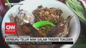 VIDEO: Tradisi Tukuder di Kendal, Telur Mimi Diserbu Warga