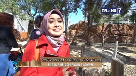 VIDEO: Syiar Islam di Benua Australia