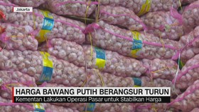 VIDEO: Sempat Meroket, Harga Bawang Putih Berangsur Turun