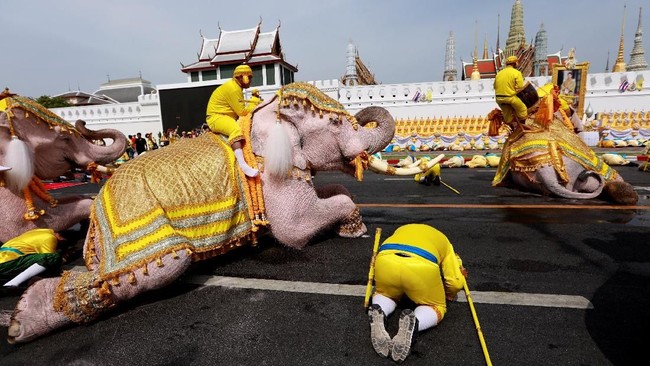 Pawai gajah berbalut cat putih berarak di depan Istana Kerajaan Thailand untuk memberikan penghormatan kepada Raja Maha Vajiralongkorn yang baru dilantik.
