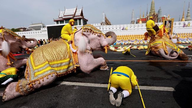 Pawai Gajah Hormati Raja Thailand Sehari Usai Pelantikan