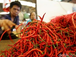 Harga Cabai Merah-Rawit di Denpasar Berangsur Turun