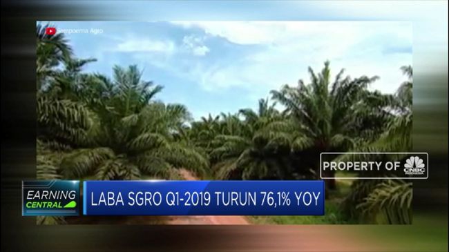 Sampoerna Agro Bagi Dividen, Catat Tanggalnya