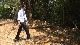 Fakta Food Estate Kalteng yang Akan Dibangun Jokowi