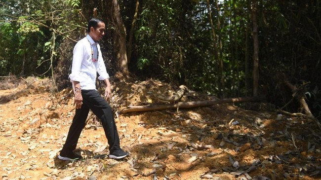 Pengamat menilai food estate yang akan dibangun di Kalimantan Tengah oleh Jokowi memiliki kontur tanah bergelombang. Selain itu, kendala infrastruktur.
