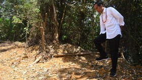 Rekapitulasi Nasional KPU: Jokowi Menang 91,68 Persen di Bali