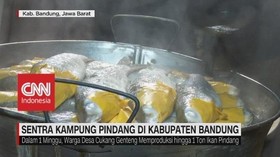 VIDEO: 'Mengintip' Bisnis Ikan Pindang di Desa Cukanggenteng