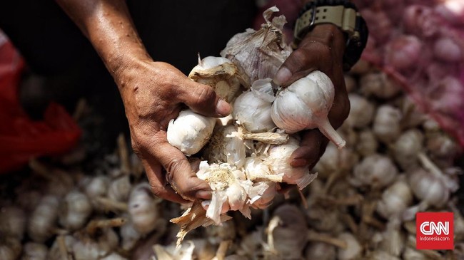 Harga bawang putih di pasar tradisional Kota Medan, Sumatera Utara melonjak tajam dalam beberapa hari terakhir.