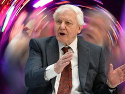 Sir David Attenborough Pecahkan Rekor Instagram
