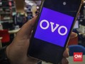 Ovo Tanggapi Kerja Sama dengan Bareksa soal Investasi Online