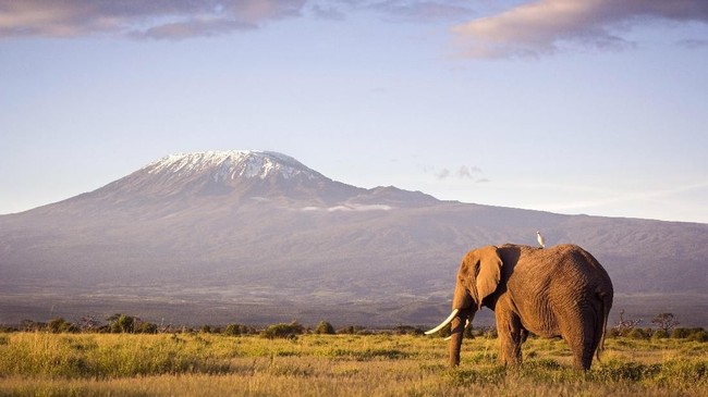 Pemanasan global bisa menyebabkan gletser di daerah terkenal seperti di Yosemite dan Kilimanjaro hilang pada 2050.