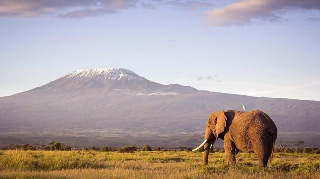 Gunung Kilimanjaro Terletak Di Negara - Homecare24