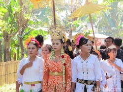 Wamenkumham: Tradisi Kawin Lari Suku Sasak Tak Bisa Dipidana