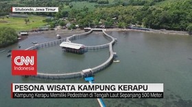 VIDEO: Pesona Kampung Kerapu di Situbondo