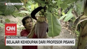 VIDEO: Belajar Kehidupan Dari Profersor Pisang