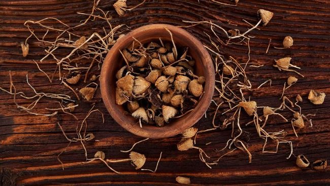 Denver menjadi kota pertama di Amerika Serikat yang melegalkan penggunaan magic mushroom.