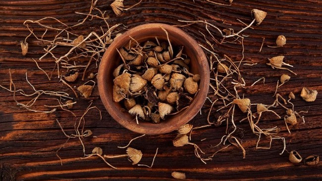 Eksperimen Magic Mushroom ke Pemuka Agama di Dunia, Begini Efeknya Sejumlah pemuka agama dari beberapa kepercayaan diminta mengonsumsi magic mushroom atau jamur ajaib yang memabukkan untuk menakar tingkat religiusitas mereka.