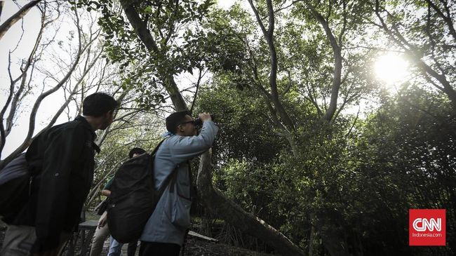 Pemerintah diharapkan melakukan kajian terlebih dahulu sehingga pembangunan infrastruktur tidak mengganggu habitat dan keanekaragaman hayati.