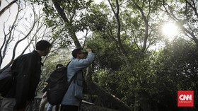 Lore Lindu, Lokasi Favorit Kegiatan Pengamatan Burung di Poso