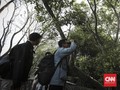 Lore Lindu, Lokasi Favorit Kegiatan Pengamatan Burung di Poso