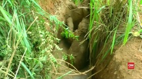 VIDEO: Anak Terperangkap, Induk Gajah Mengamuk di Sri Lanka