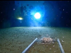 Film Underwater dan Kenyataan dalam Palung Mariana