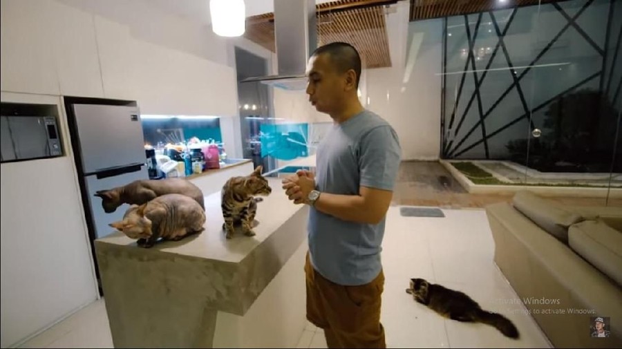 Kucing Raditya Dika ngambek.
