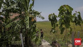 Bakar Ladang dengan Cara Adat, Tiga Petani Ditahan