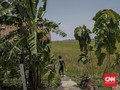 Bakar Ladang dengan Cara Adat, Tiga Petani Ditahan