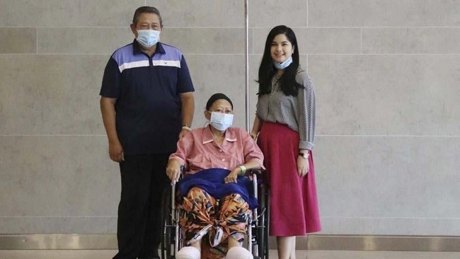 Wakil Ketua Umum Partai Demokrat Syarief Hasan yang saat ini sedang menjengk di Singapura mengatakan Ani Yudhoyono mengalami demam tinggi.