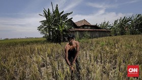 Bikin Pusing Pejabat Desa, Laporan Dana Desa akan Dipermudah