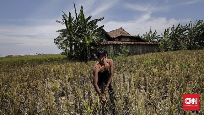 Kemenkeu berjanji menyusun sistem laporan tanggung jawab dana desa yang lebih ringkas setelah banyak pejabat desa mengaku pusing dengan pelaporan dana desa.