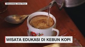 VIDEO: Wisata Edukasi di Kebun Kopi